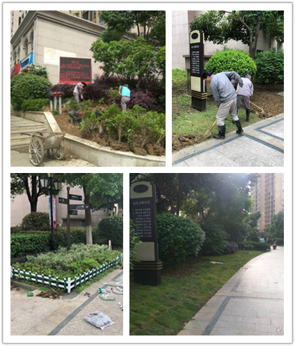 918������(�й���)�ٷ���վ