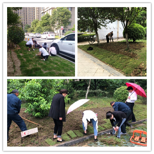 918������(�й���)�ٷ���վ