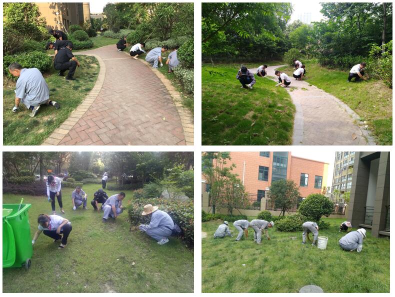 918������(�й���)�ٷ���վ