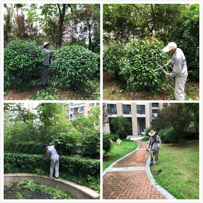 918������(�й���)�ٷ���վ