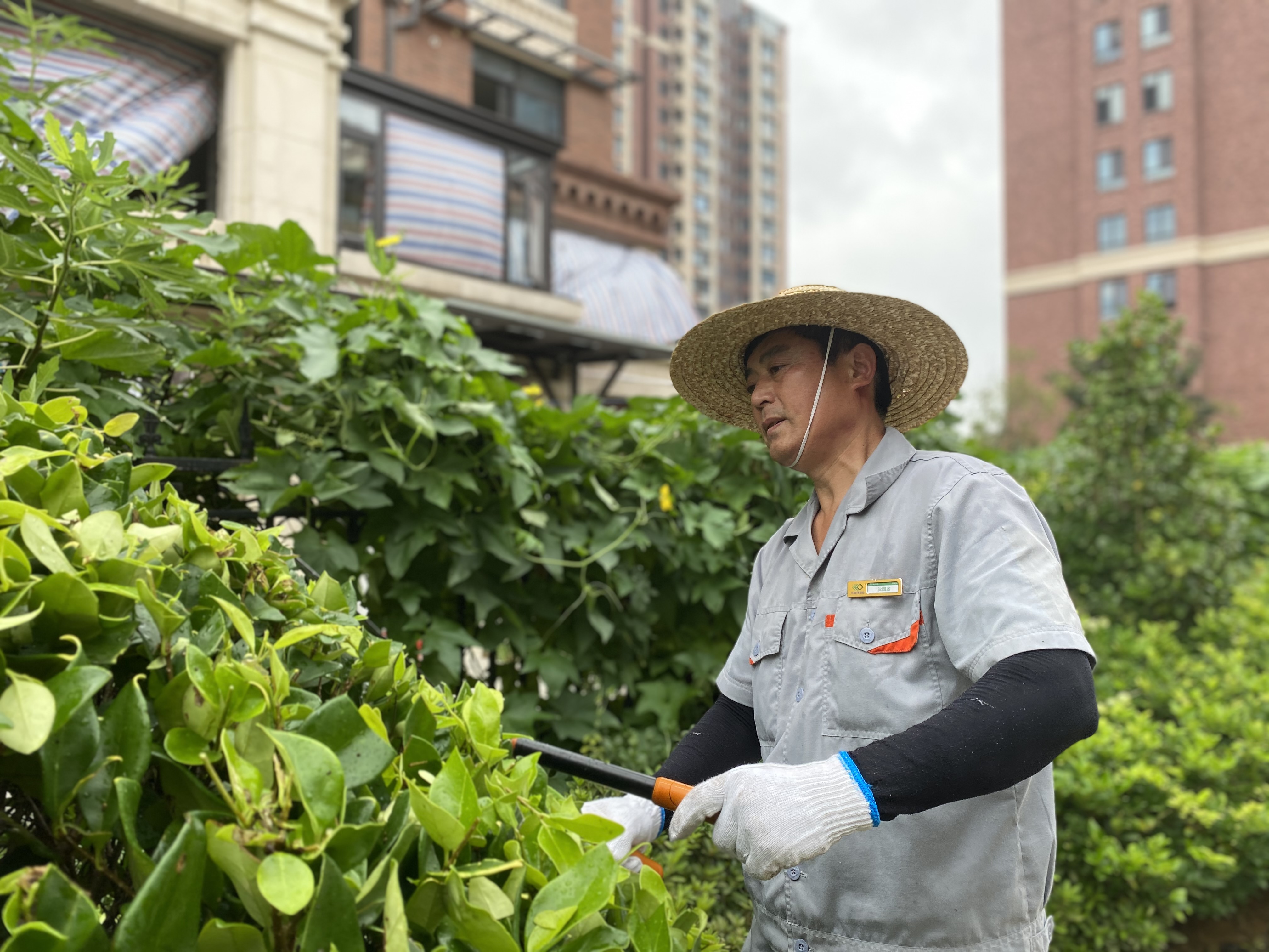 918������(�й���)�ٷ���վ