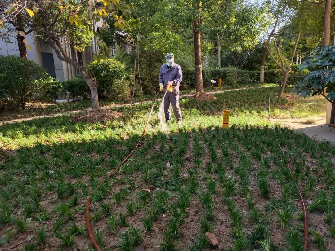 918������(�й���)�ٷ���վ