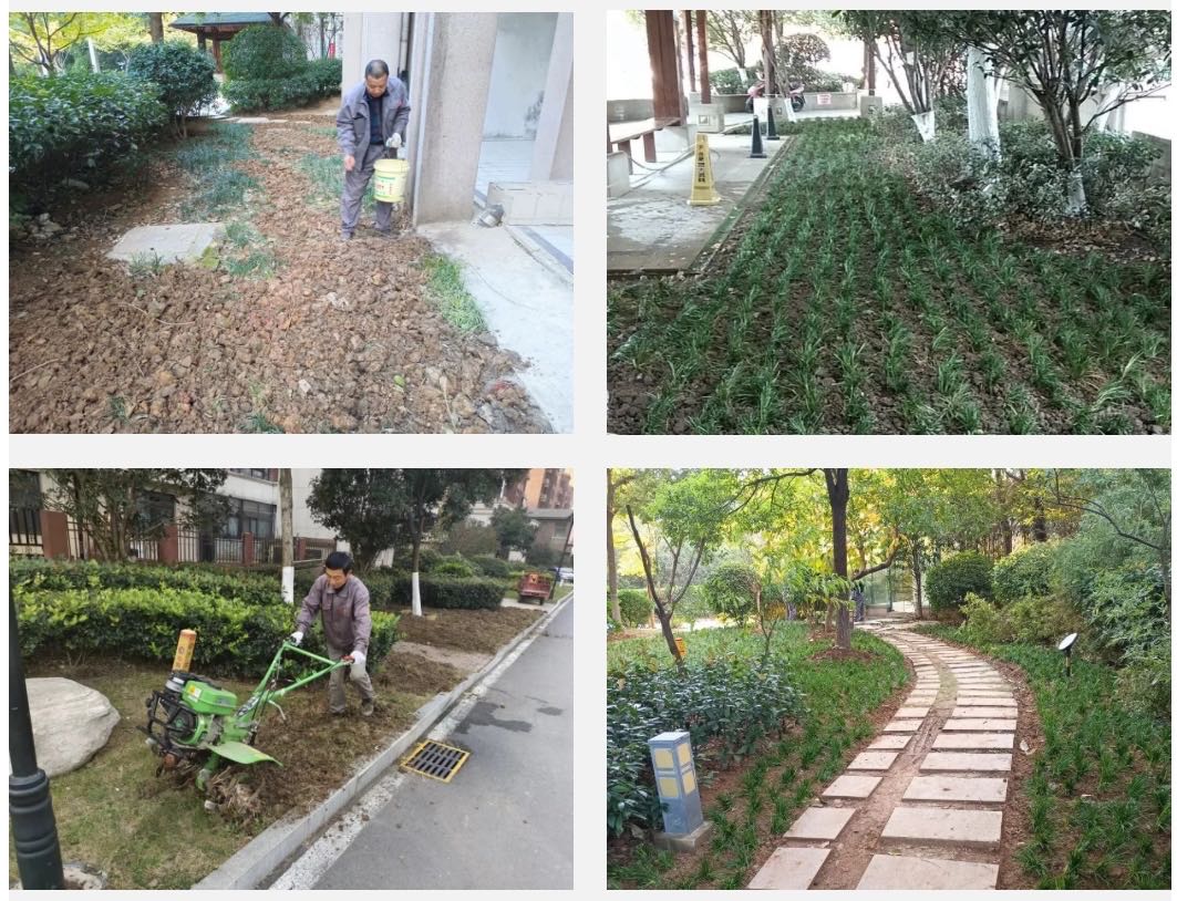 918������(�й���)�ٷ���վ