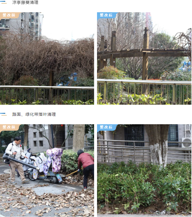 918������(�й���)�ٷ���վ